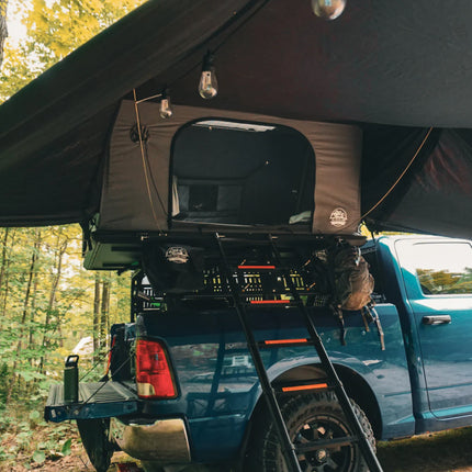 Tarp